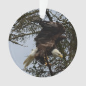 Bald Eagle of Alaska U.S.A. Ornament (voorkant)