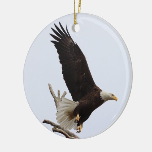 Bald Eagle of Columbiana Ohio Ornament (Links)