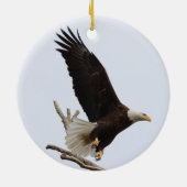 Bald Eagle of Columbiana Ohio Ornament (Achterkant)
