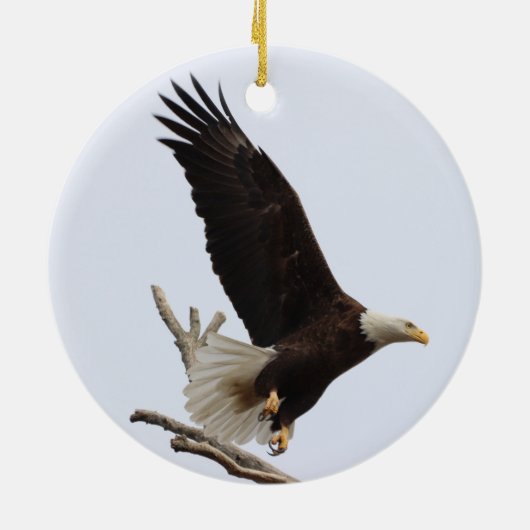 Bald Eagle of Columbiana Ohio Ornament (Achterkant)