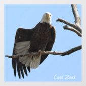Bald Eagle of Columbiana Ohio Raamsticker (Vel)