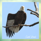 Bald Eagle of Columbiana Ohio Raamsticker (Vel 3)