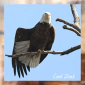 Bald Eagle of Columbiana Ohio Raamsticker (Vel 2)