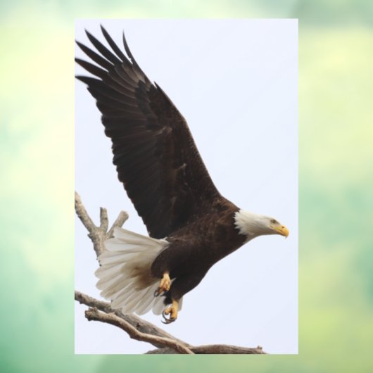 Bald Eagle of Columbiana, Ohio Raamsticker (Vel 3)