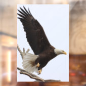 Bald Eagle of Columbiana, Ohio Raamsticker (Vel 2)