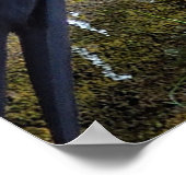 Bald Eagle on a Rope poster (Hoek)