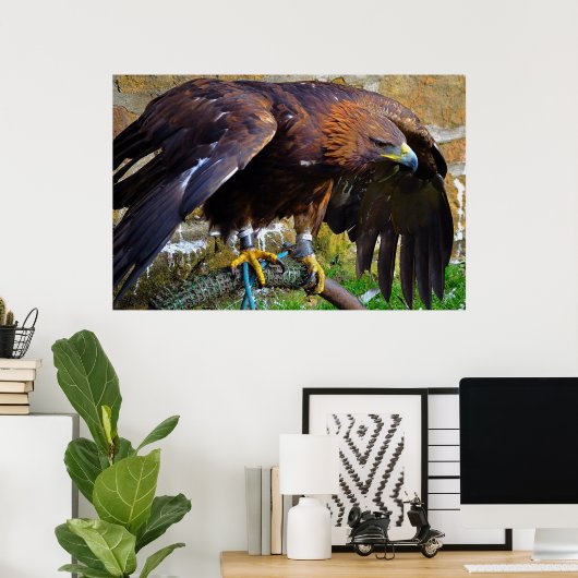 Bald Eagle on a Rope poster (Thuiskantoor)