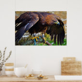 Bald Eagle on a Rope poster (Keuken)