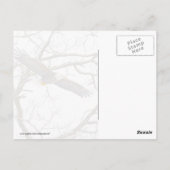 Bald Eagle on Blue Briefkaart (Achterkant)