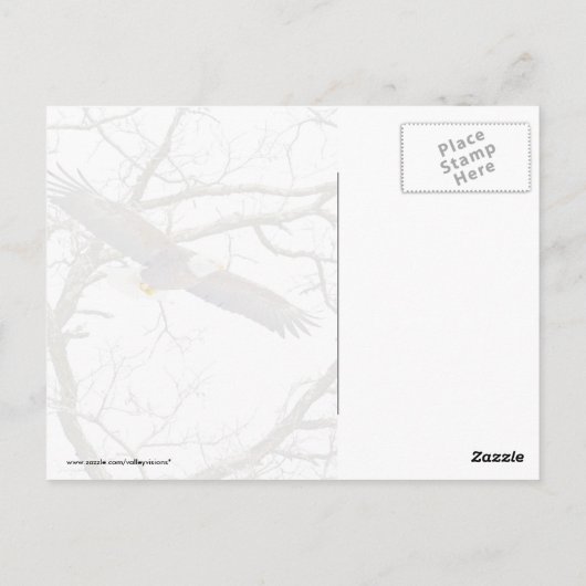 Bald Eagle on Blue Briefkaart (Achterkant)