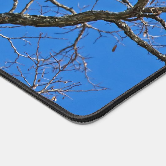 Bald Eagle on Blue Bureaumat (Hoek)