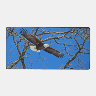Bald Eagle on Blue Bureaumat