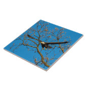 Bald Eagle on Blue Tegeltje (Zijkant)