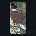 Bald Eagle on Branch Case-Mate iPhone Case<br><div class="desc">Bald Eage op Branch Artist: Tim OToole</div>