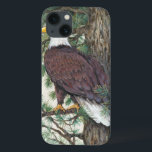 Bald Eagle on Branch Case-Mate iPhone Case<br><div class="desc">Bald Eage op Branch Artist: Tim OToole</div>