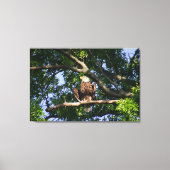 Bald Eagle on Branch Portrait Canvas Afdruk (Voorkant)