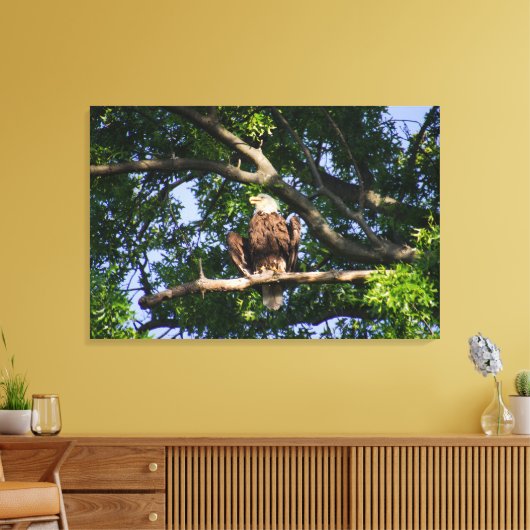 Bald Eagle on Branch Portrait Canvas Afdruk (Insitu (Woonkamer))