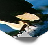 Bald Eagle on log poster (Hoek)