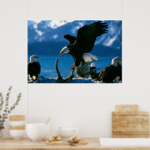 Bald Eagle on log poster (Keuken)