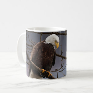 Bald Eagle onder Full Moon Wildlife Natuur Koffiemok