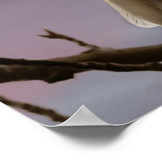 Bald Eagle onder volle maan Poster (Hoek)