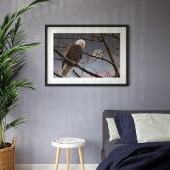 Bald Eagle onder volle maan Poster