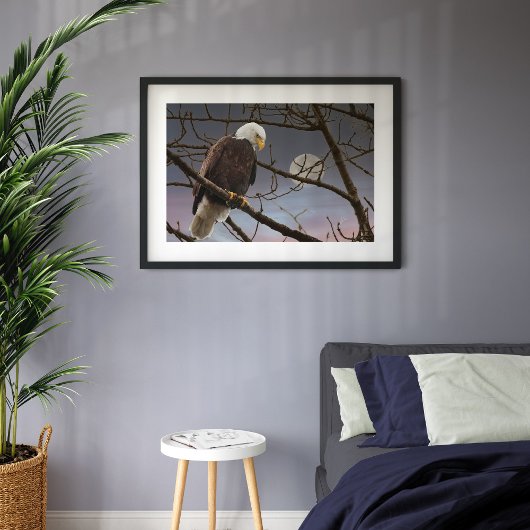 Bald Eagle onder volle maan Poster