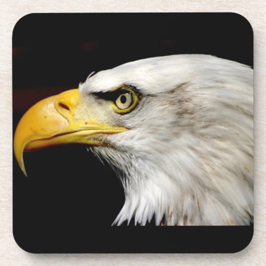 Bald Eagle Onderzetter (Voorkant)