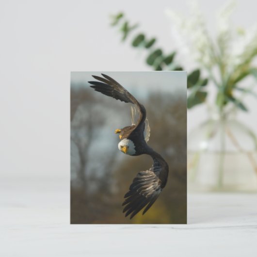 Bald Eagle op de Hunt Briefkaart (Staand voorkant)