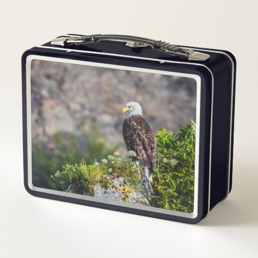 Bald Eagle op de rots (Achterkant)