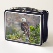 Bald Eagle op de rots (Voorkant)