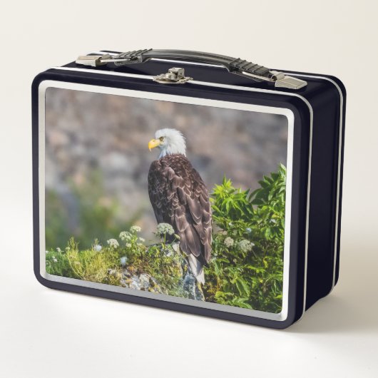 Bald Eagle op de rots (Voorkant)