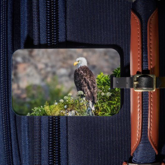 Bald Eagle op de rots Bagagelabel (Voorkant Insitu 4)