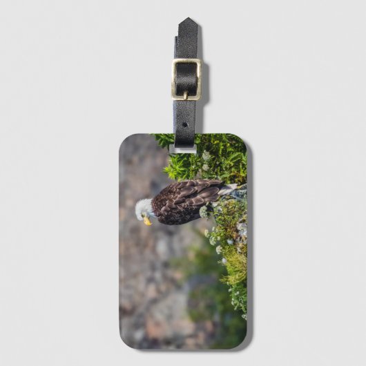 Bald Eagle op de rots Bagagelabel (Voorkant (verticaal))