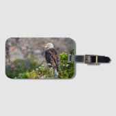 Bald Eagle op de rots Bagagelabel (Voorkant (horizontaal))