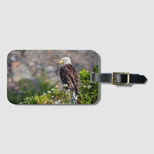 Bald Eagle op de rots Bagagelabel (Voorkant (horizontaal))