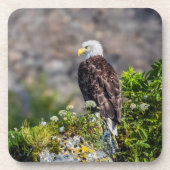 Bald Eagle op de rots Bier Onderzetter (Voorkant)
