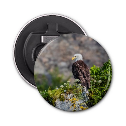 Bald Eagle op de rots Button Flesopener (Voorkant)