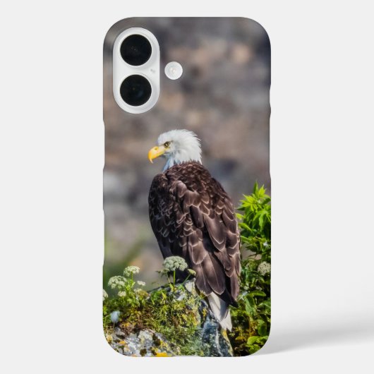 Bald Eagle op de rots Case-Mate iPhone Case (Achterkant)