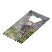 Bald Eagle op de rots Creditkaart Flessenopener (Voorkant Gekanteld)