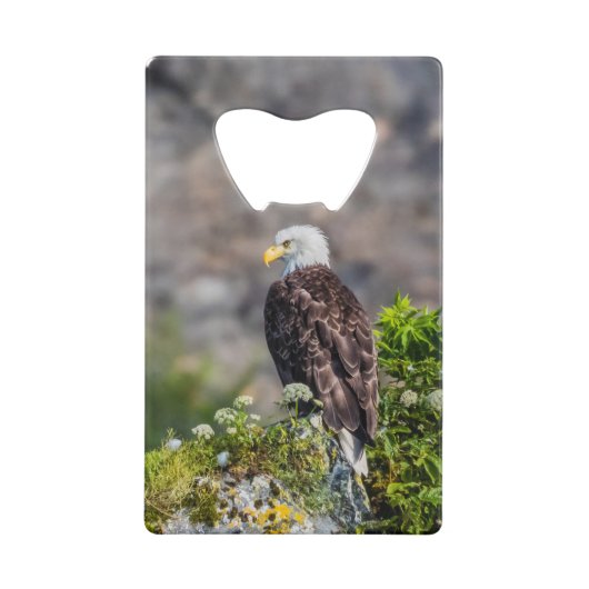 Bald Eagle op de rots Creditkaart Flessenopener (Achterkant)