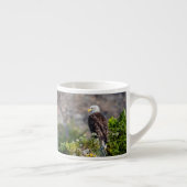 Bald Eagle op de rots Espresso Kop (Rechts)