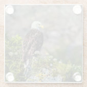 Bald Eagle op de rots Glazen Onderzetter (Achterkant)