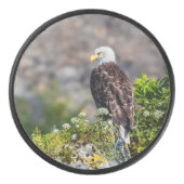Bald Eagle op de rots Hockey Puck (Voorkant)