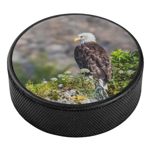 Bald Eagle op de rots Hockey Puck (3/4)