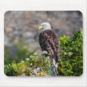 Bald Eagle op de rots Muismat (Voorkant)