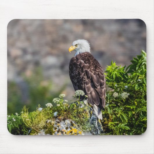 Bald Eagle op de rots Muismat (Voorkant)