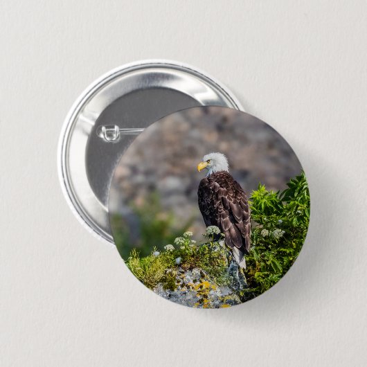 Bald Eagle op de rots Ronde Button 5,7 Cm (Voorkant /achterkant)