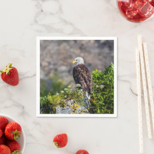Bald Eagle op de rots Servet