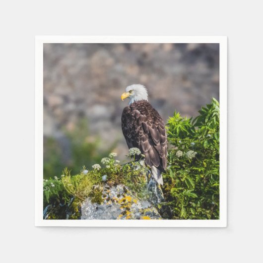 Bald Eagle op de rots Servet (Voorkant)